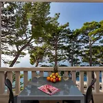 Pine Canopy And * Brela