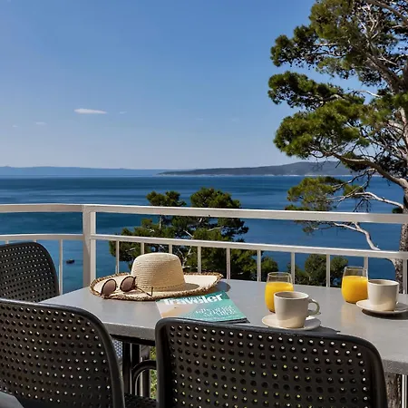 Pine Canopy And Apartment