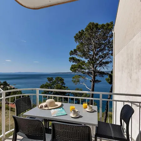 Apartment Pine Canopy And
