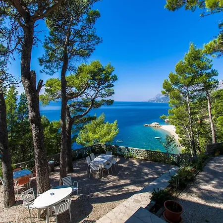 Pine Canopy And Apartment *
