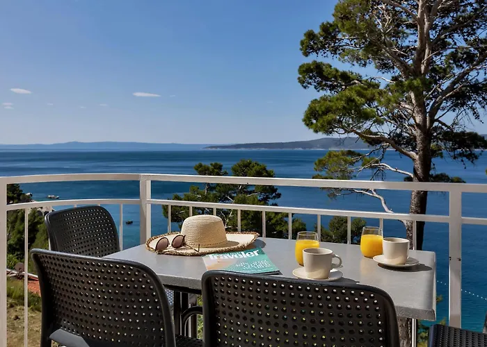 Pine Canopy And Apartment