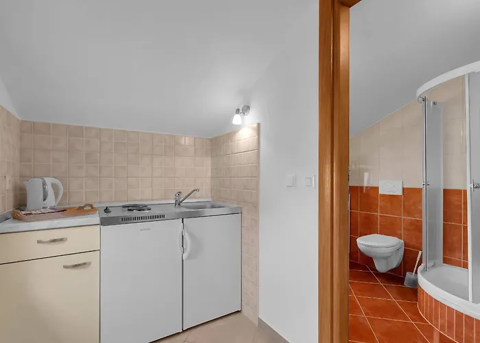 Pine Canopy And Apartment *