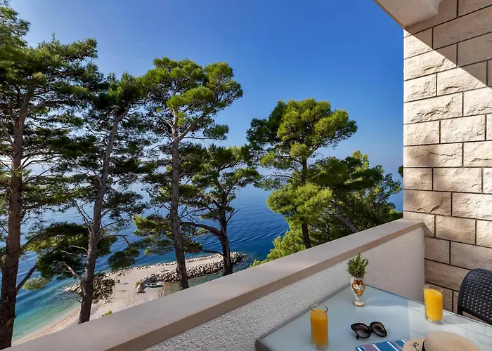 Pine Canopy And * Brela