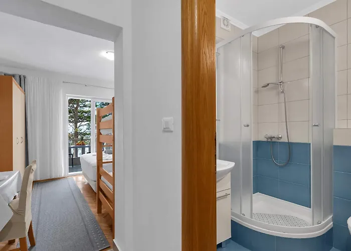 Apartment Pine Canopy And *