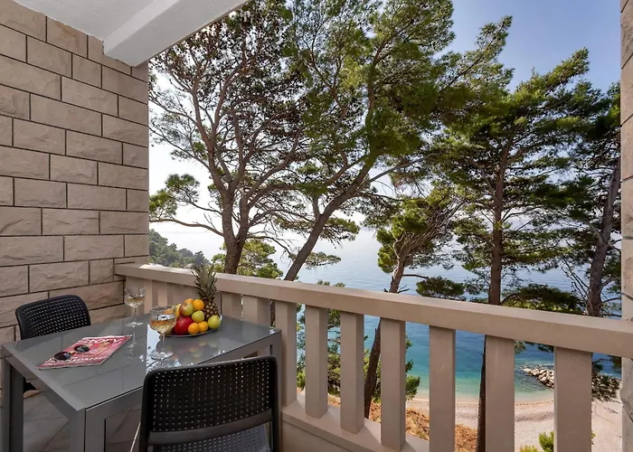 Pine Canopy And Apartment *