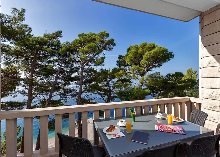 Apartment Pine Canopy And