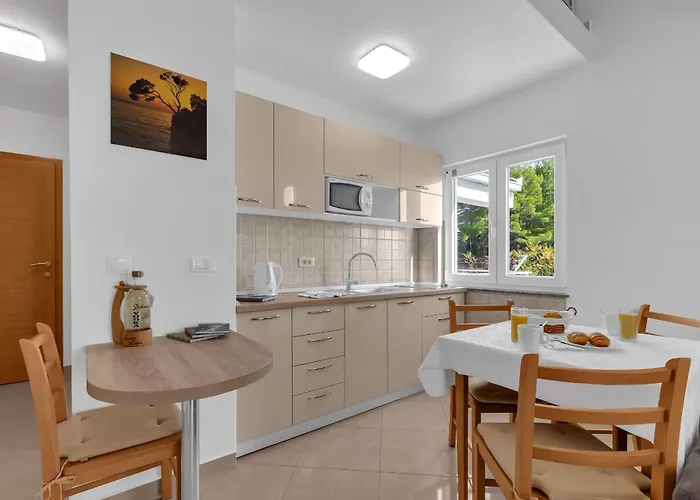 Pine Canopy And Apartment *