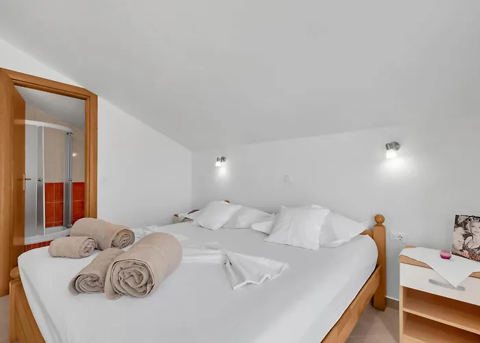 Pine Canopy And Apartment