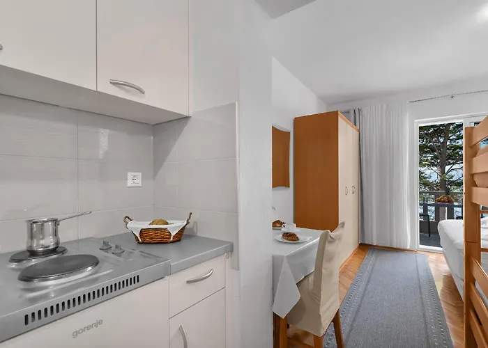 Apartment Pine Canopy And