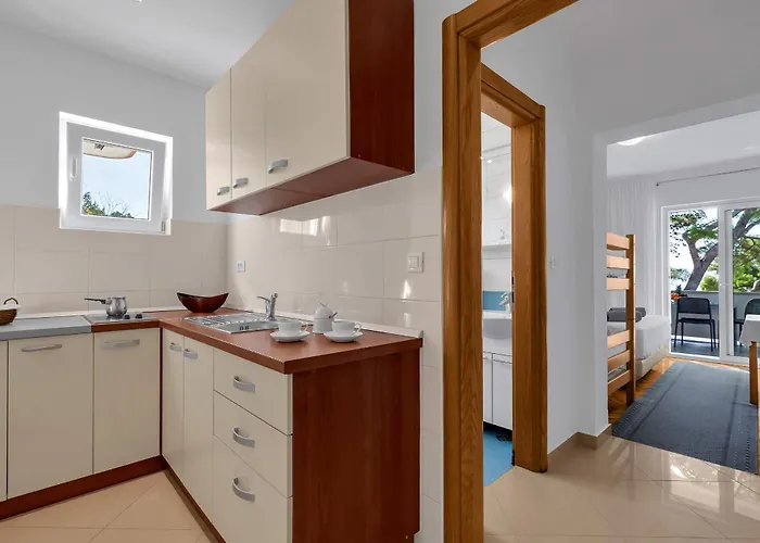 Pine Canopy And Brela