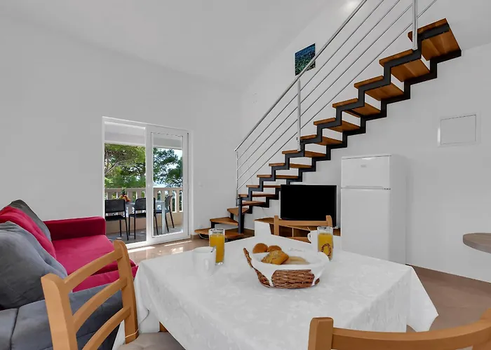 Pine Canopy And * Brela