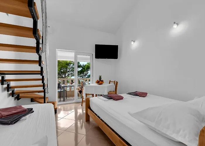 Pine Canopy And Brela