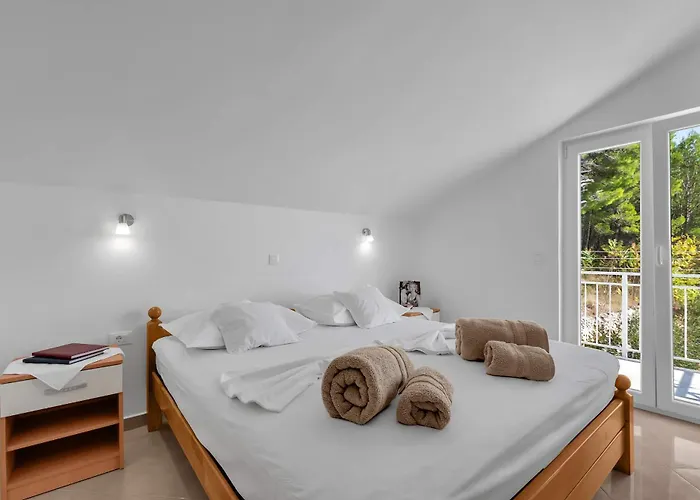 Pine Canopy And Brela