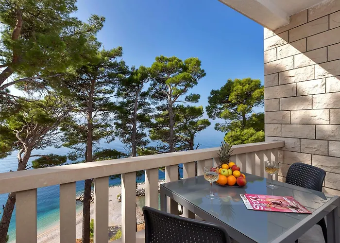 Pine Canopy And Apartment