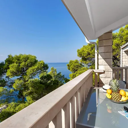 Pine Canopy And * Brela