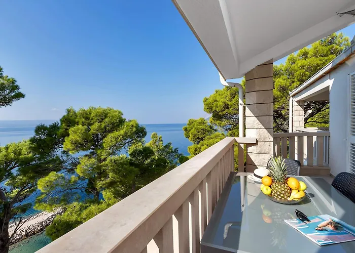 Pine Canopy And * Brela