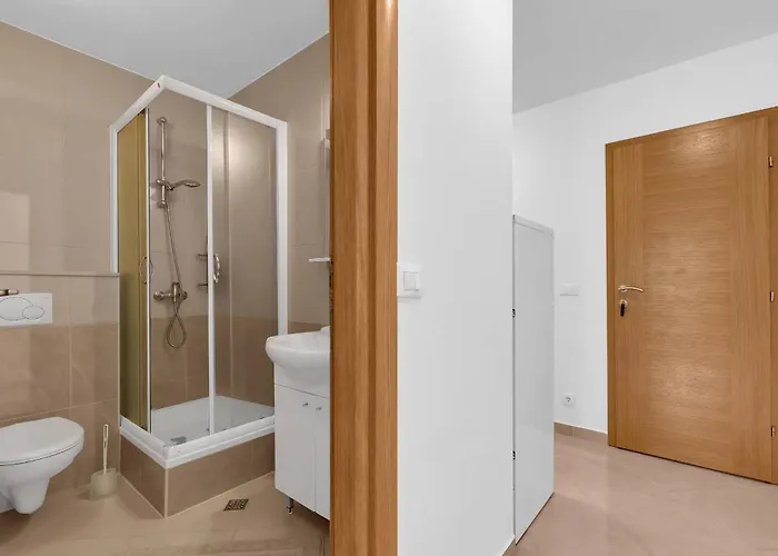 Pine Canopy And Brela