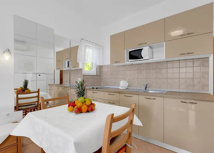 Pine Canopy And Brela