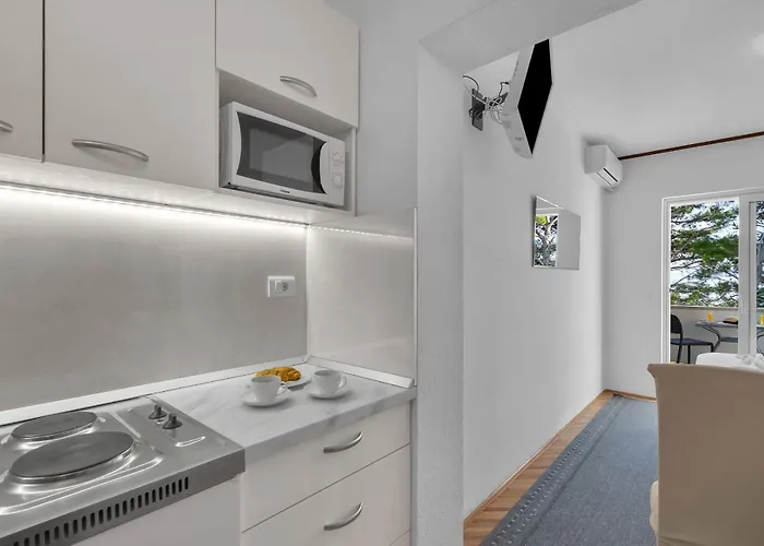 Pine Canopy And * Brela