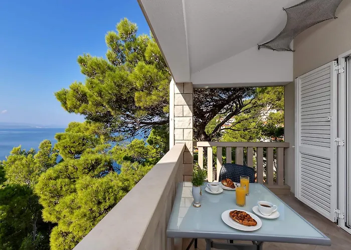 Pine Canopy And * Brela