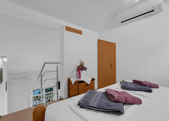 Pine Canopy And Brela