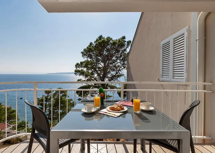 Pine Canopy And * Brela