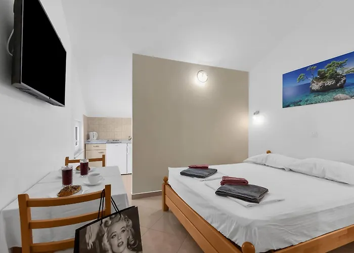 Pine Canopy And Brela