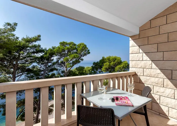 Pine Canopy And * Brela